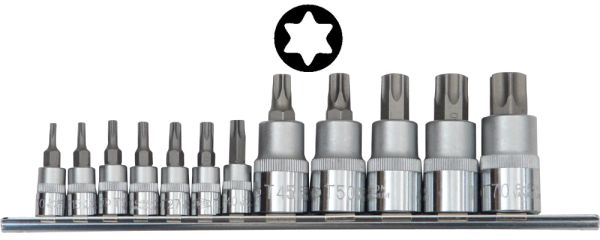 FAMEX 10716 Bit-Einsätze für Torx-Schrauben, T-10 - T-70, 12-teilig